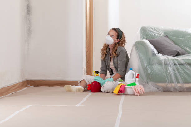 Reliable Bathroom Mold Removal contractor in Hinsdale, IL by WQB Mold Removal